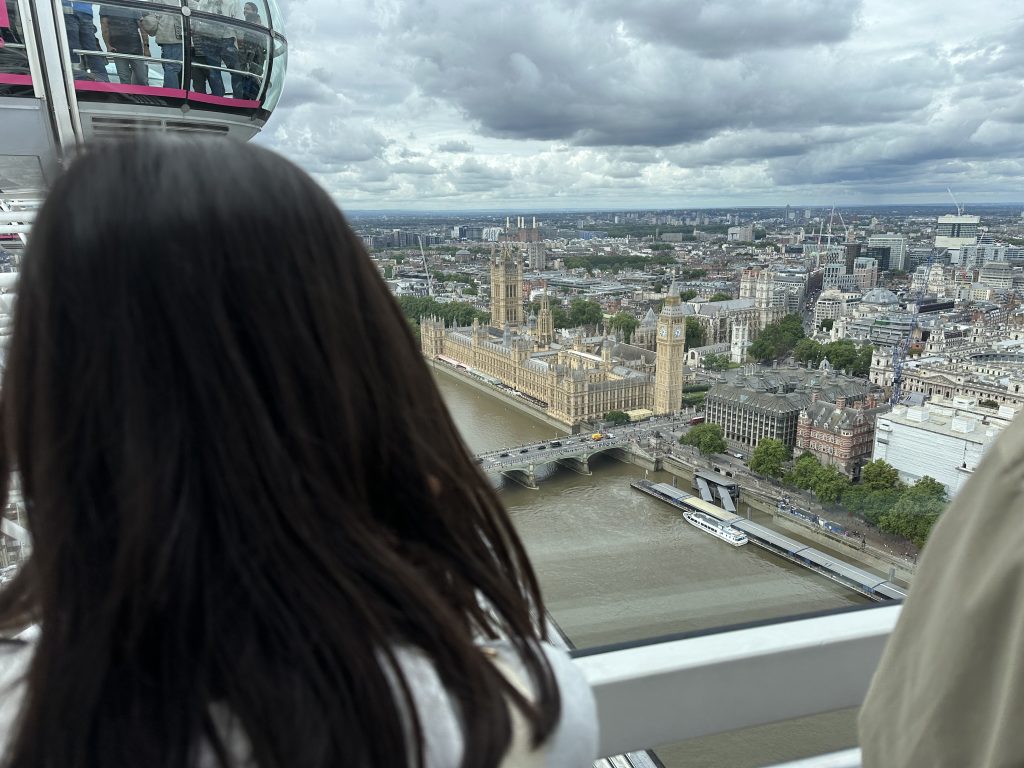 views from the london eye